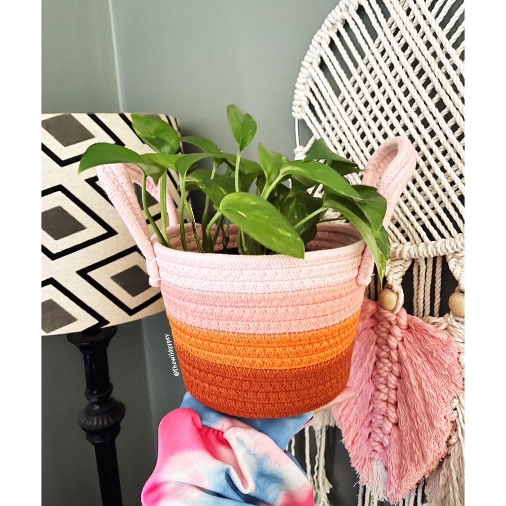 NEW Bohemian woven colorblock planter basket 🪴 - Picture 2 of 6